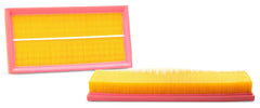 AF4919 Fleetguard Air Filter - Panel