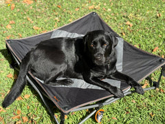 Deluxe XL Pet Camp Bed, 95 x 95cm, Removable Washable Cover, 80kg Rating