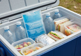 Coleman Gel Pack Large 41x24x1cm