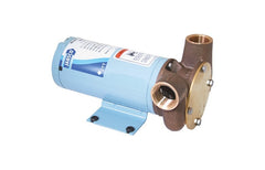 Pump -Util Puppy 2000 12v