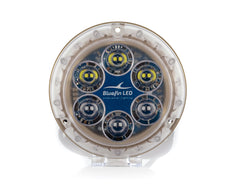 Piranha P12 White/Blue Brz Base 12/24v