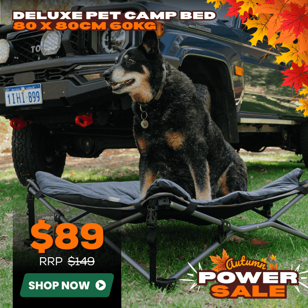 Wildtrak Deluxe Folding Pet Camp Bed with Removable Cover