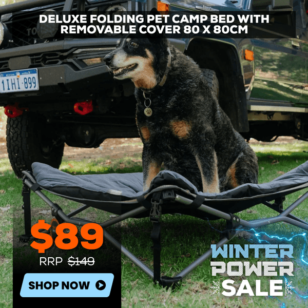 Wildtrak Deluxe Folding Pet Camp Bed with Removable Cover