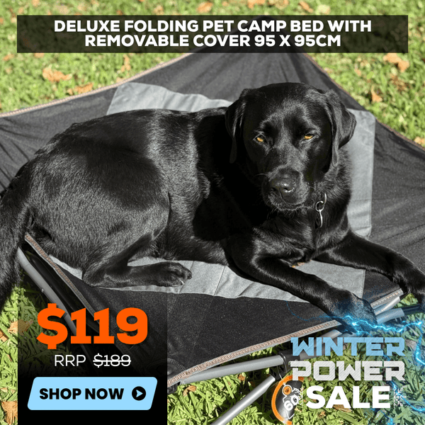 Wildtrak Deluxe Folding Pet Camp Bed XL with Removable Cover 95x95cm