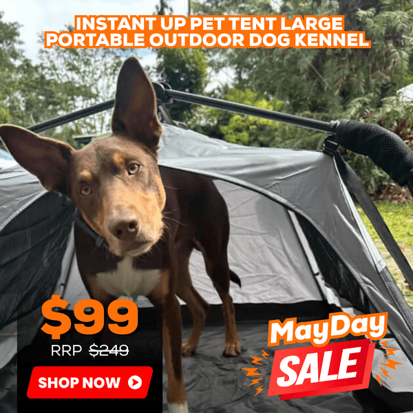 Instant Up Pet Tent Large Portable Outdoor Dog Kennel