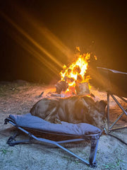 Deluxe Folding Pet Camp Bed, Removable Washable Cover, 60KG Rating