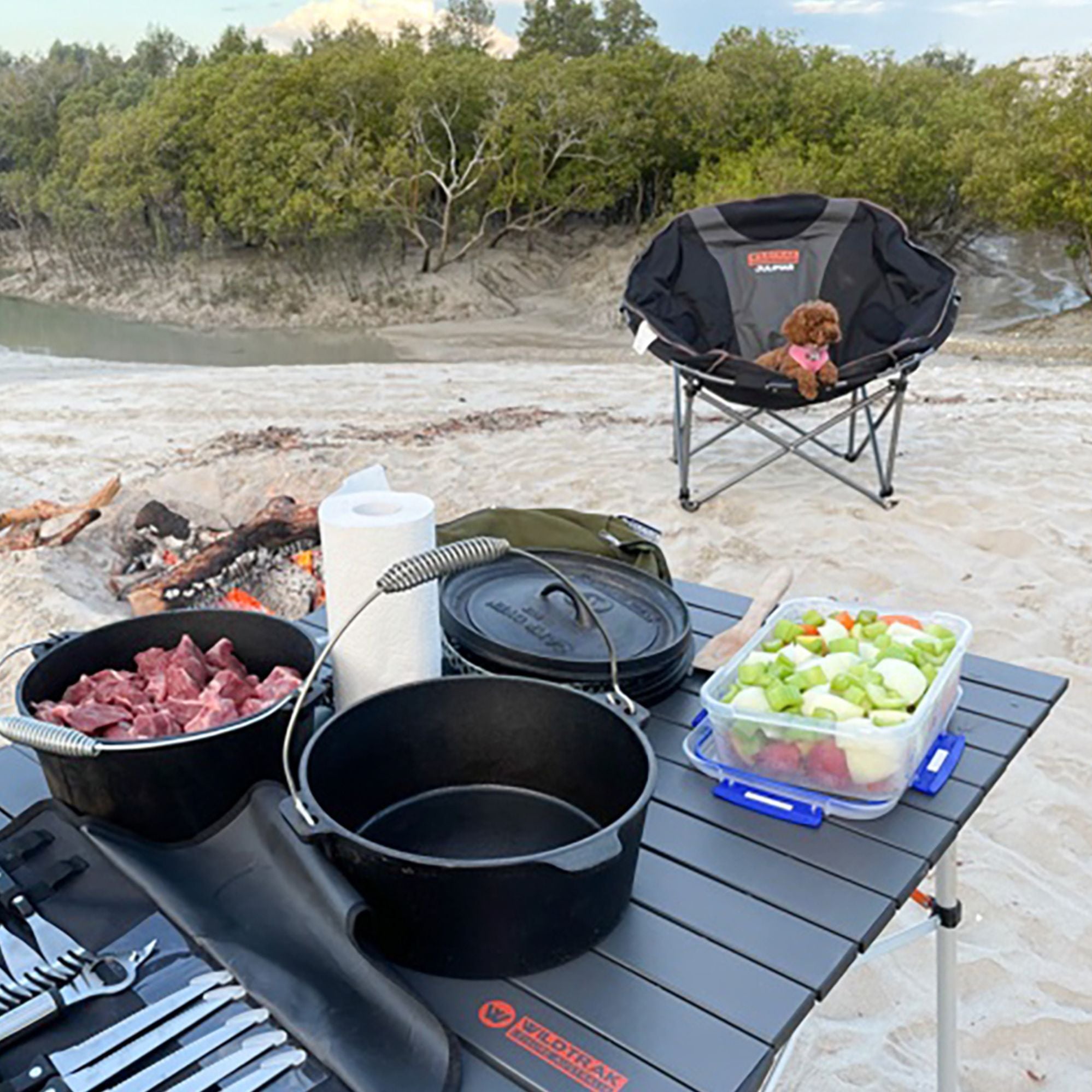 Wildtrak 9 Quart Heavy-duty Round Camp Oven with Lip and Handle, Pre-Seasoned