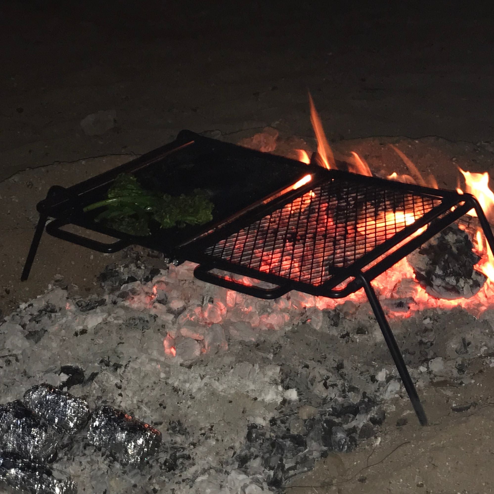 Wildtrak Fold in Half Flat Plate and Grill 58x46.5x25cm