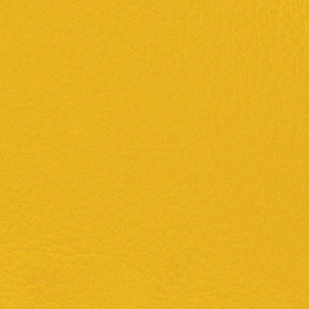 VETUS Skai roll 5 x 1,37 m in RAL 1004 Golden Yellow CHSKAIGY