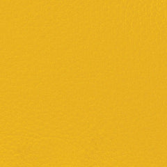 VETUS Skai roll 5 x 1,37 m in RAL 1004 Golden Yellow CHSKAIGY
