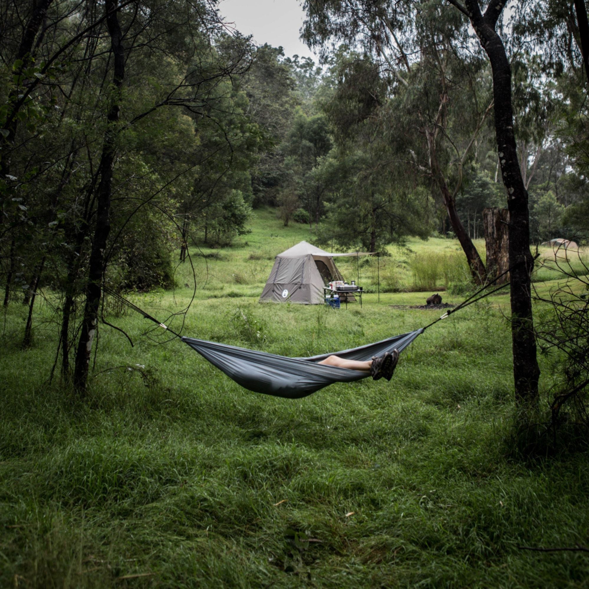 Coleman Lightweight Nylon Universal Sling Hammock 148 x 220 cm, 180kg