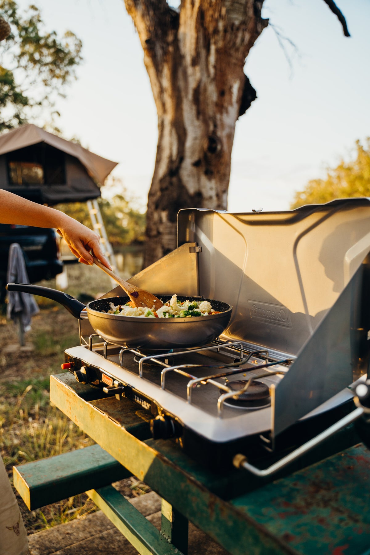 Coleman Triton™ 2 Burner Stove, PerfectHeat Technology, 22000 BTUs, Wind Guards, Durable, Rust Resistant