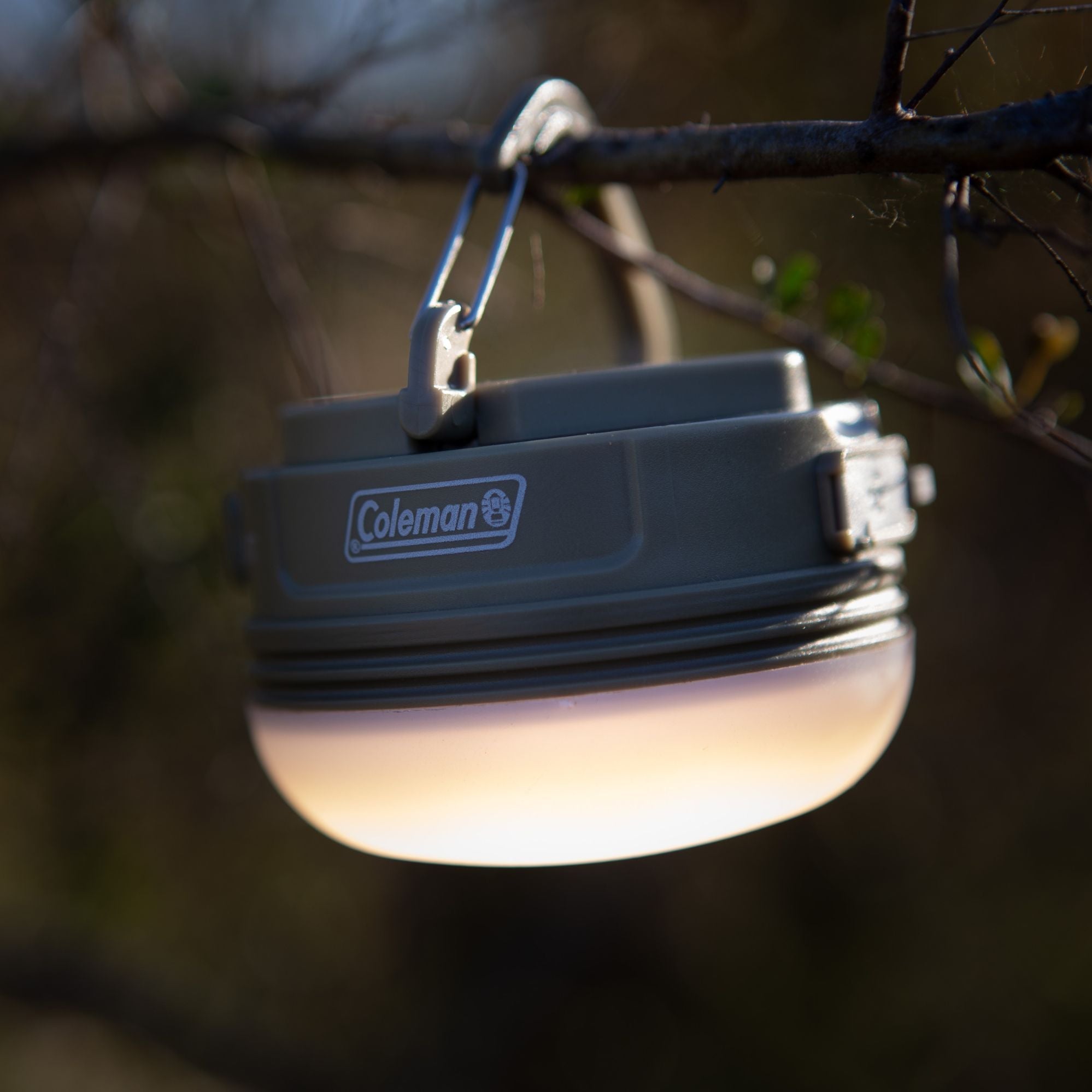 Coleman 250 Lumens Swagger Lantern, Rechargeable Lithium Ion, Water Resistant
