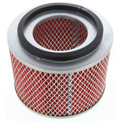 RAF126 Repco Air Filter